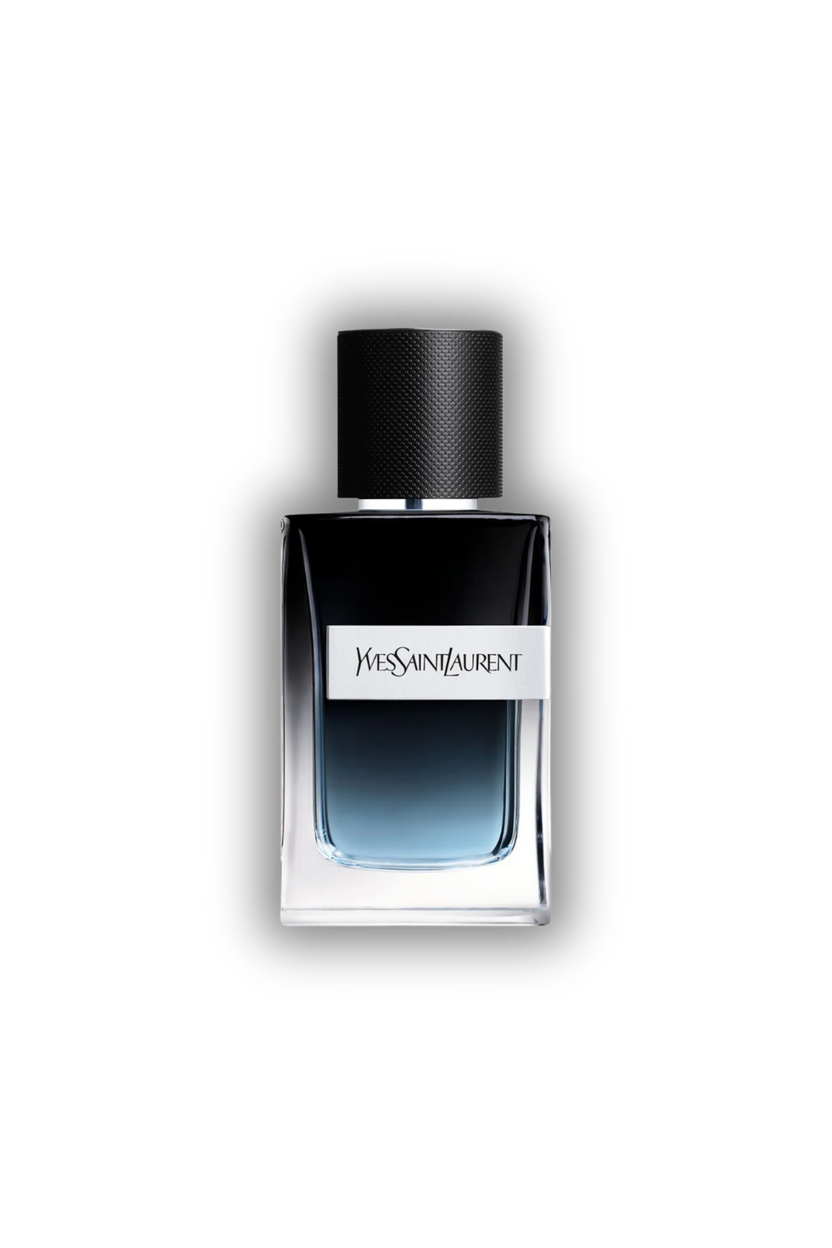 Ysl Y edp